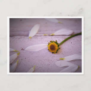 "The Margaret said: YES!" postcard