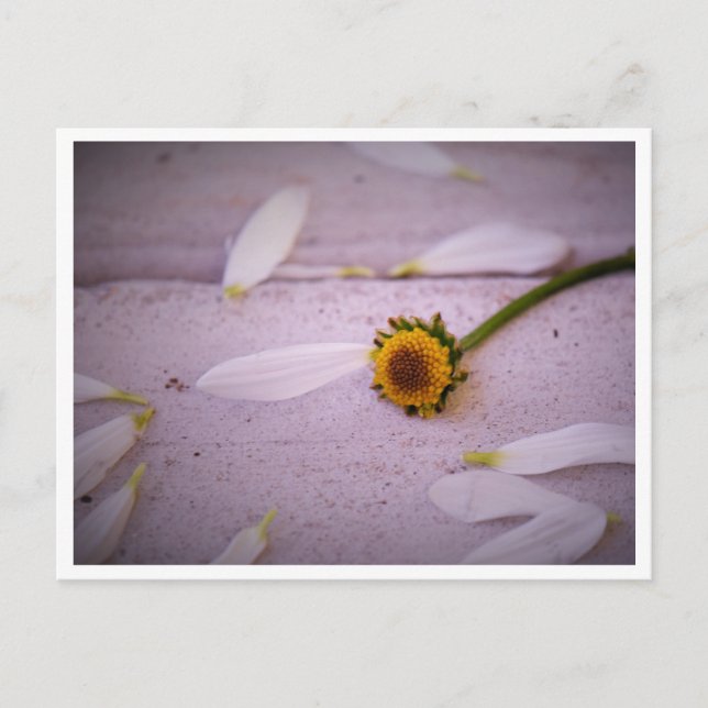 "The Margaret said: YES!" postcard (Front)