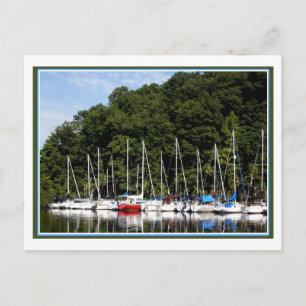 The Marina Postcard