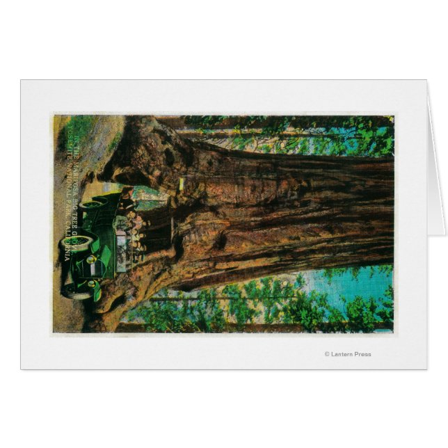 The Mariposa Big Tree Grove, Yosemite (Front Horizontal)