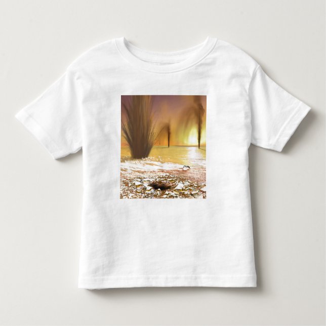 The Martian south polar ice cap Toddler T-Shirt (Front)