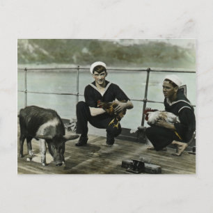 The Mascots Vintage WWII Sailor Rooster Pig Postcard