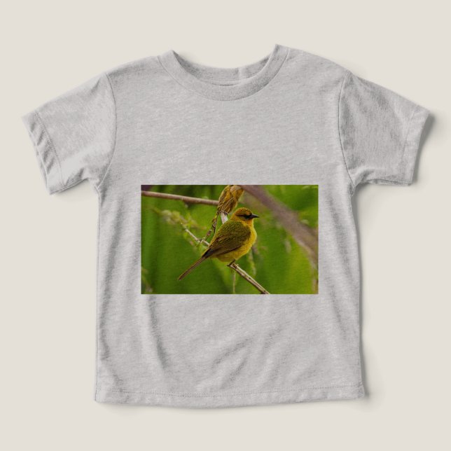 The Master Architect: Weaver Bird at Work (Design Front)