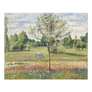 The Meadow with Grey Horse, Eragny, Oil Painting Photo Print