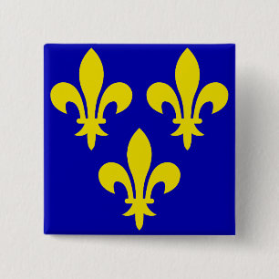 The Mediaeval Flag of France 15 Cm Square Badge