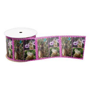 The Meerkat Picture Collage With Pink Border, Satin Ribbon