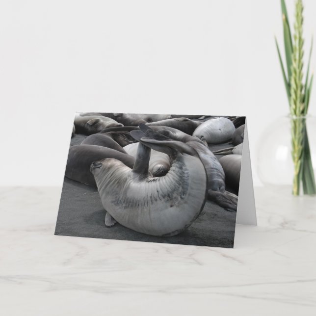 The Mermaid Seal Card (Front)