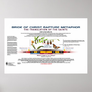 The Metamorphosis of the Bride of Christ Poster