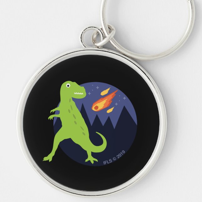 The Meteorite That Stuck Key Ring (Front)