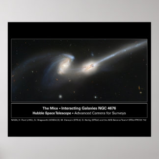 The Mice Hubble Telescope Photo Poster