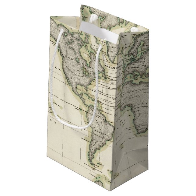 The Middle Barometer Small Gift Bag (Back Angled)