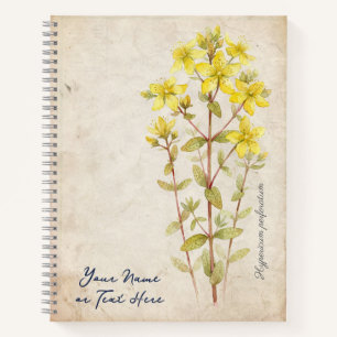 The Midsummer Secret: Hypericum Perforatum Notebook