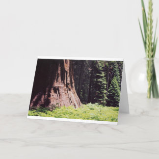 The Mighty Sequoia Card