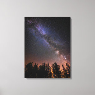 The Milky Way Rose Valley, California Canvas Print