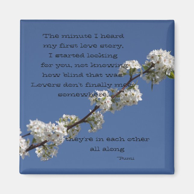 The Minute I heard my first love story Magnet (Front)