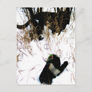 The Mitten Ukrainian Folk Tale Postcard