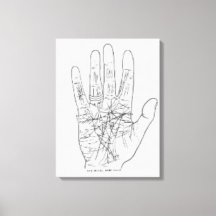 The Model Hand Canvas Print