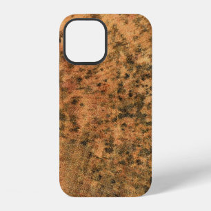 The mold that grows on the brown wood surface is d iPhone 12 case