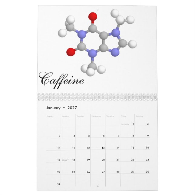 The Molecular Collection 2011 Calendar (Jan 2027)
