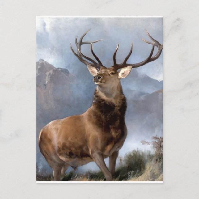 The Monarch of the Glen by Sir Edwin Landseer Postcard (Front)
