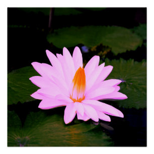 The Monet Effect... Poster