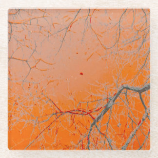 The Moon's Gaze Glass Art Glass Coaster