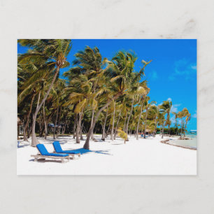 The Moorings Resort, Marathon, Key West, 3 Postcard