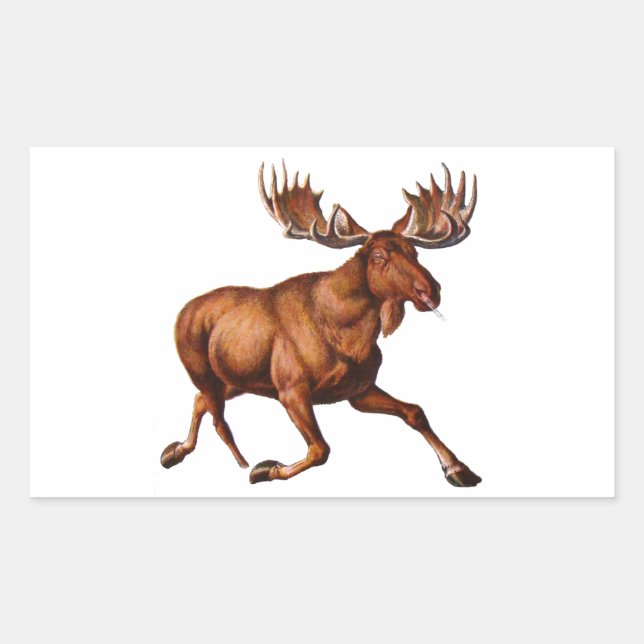 THE MOOSE IS LOOSE RECTANGULAR STICKER (Front)