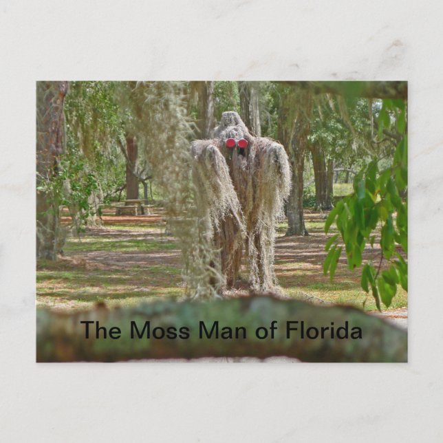 The Moss Man of Florida Postcard (Front)