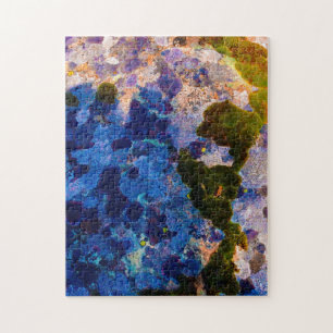The Moss Rock Puzzle