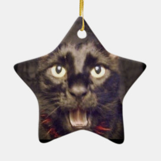 The Most Handsome Star Ornament