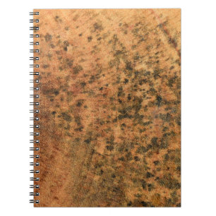 The mould that grows on the brown wood surface is notebook
