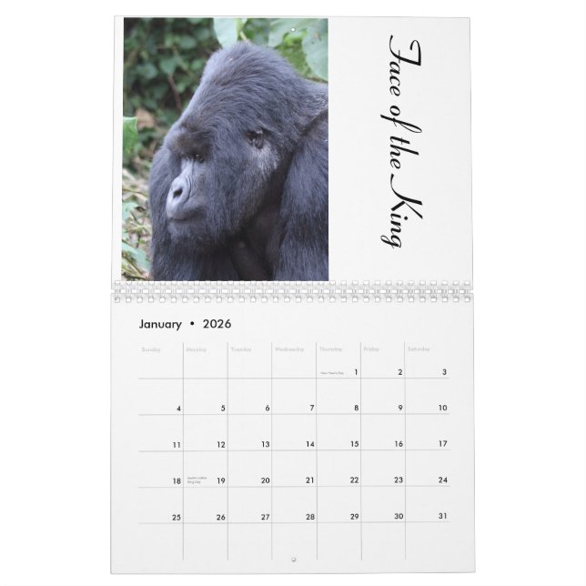 The Mountain Gorilla Up Close/ No US Holidays Calendar (Jan 2026)