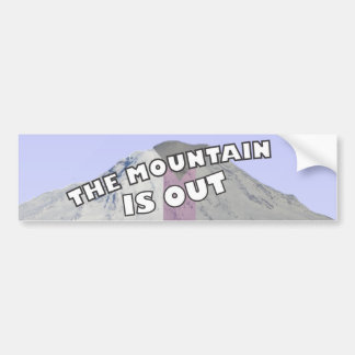 The Mountain is Out Demisexual Bumper Sticker
