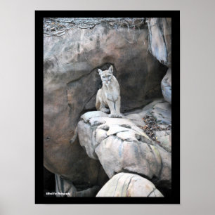 The Mountain King’s Perch Poster