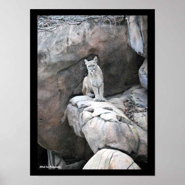 The Mountain King’s Perch Poster (Front)