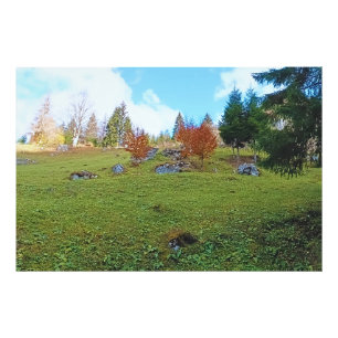 The Mountain Meadow - Wild Nature Romania Photo Print