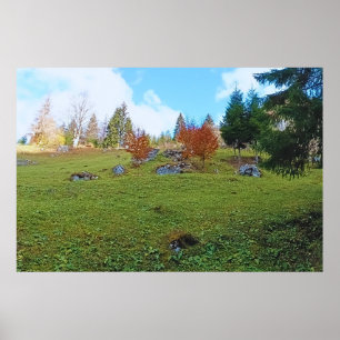 The Mountain Meadow - Wild Nature Romania Poster