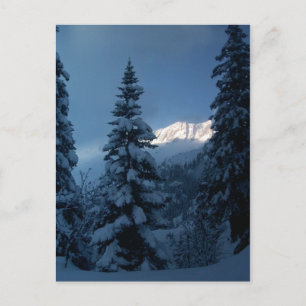 THE MOUNTAIN POSTCARD