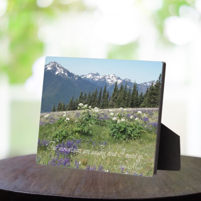 The Mountains are Calling Quote Meadow Wildflowers Plaque (In Situ Table)