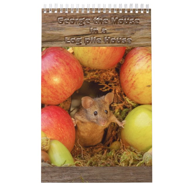 The Mouse in the log pile House  Calendar (Cover)