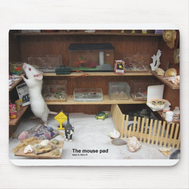 The Mouse Pad (Front)