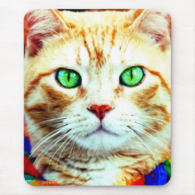 the Mouse pad (Front)