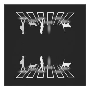 The Multi-Dimensions Crossing.b Poster