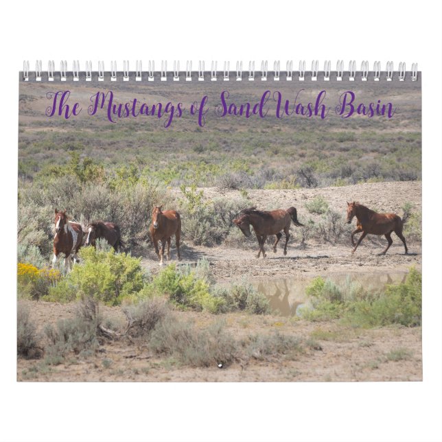 The Mustangs of Sand Wash Basin Calendar (Cover)