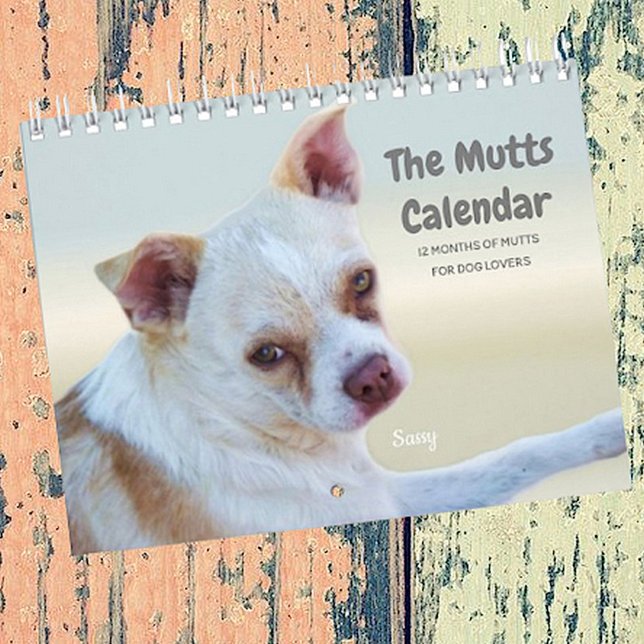 The Mutts Calendar For Dog Lovers (Creator Uploaded)