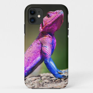The Mwanza Flat-headed Agama on rock Case-Mate iPhone Case