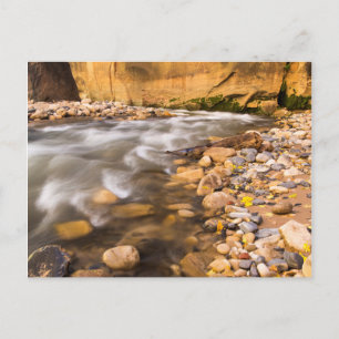 The Narrows Of The Virgin River In Autumn 4 Postcard