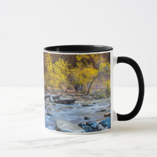 The Narrows Of The Virgin River In Autumn Mug