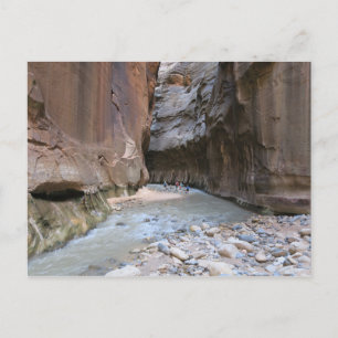 The Narrows Zion National Park Postcard